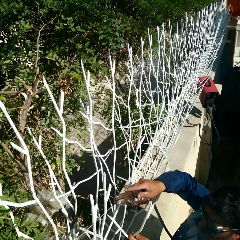 حفاظ شاخ گوزنی در ایرانشهر