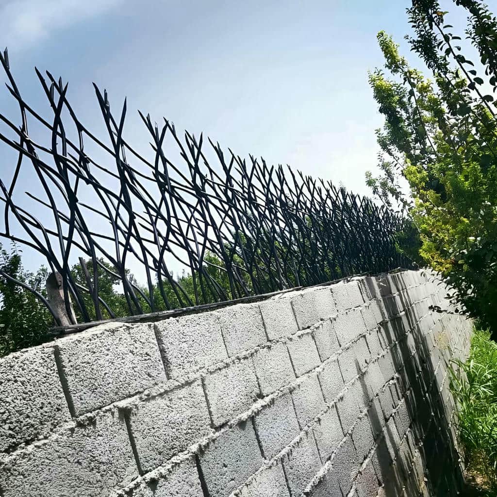 حفاظ شاخ گوزنی در دماوند