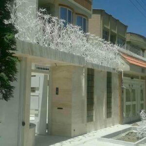 حفاظ شاخ گوزنی در محمودآباد