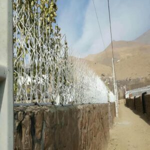 حفاظ شاخ گوزنی در سیرجان