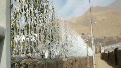 حفاظ شاخ گوزنی در سیرجان