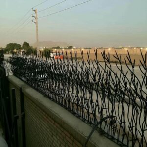 حفاظ شاخ گوزنی در هشتگرد