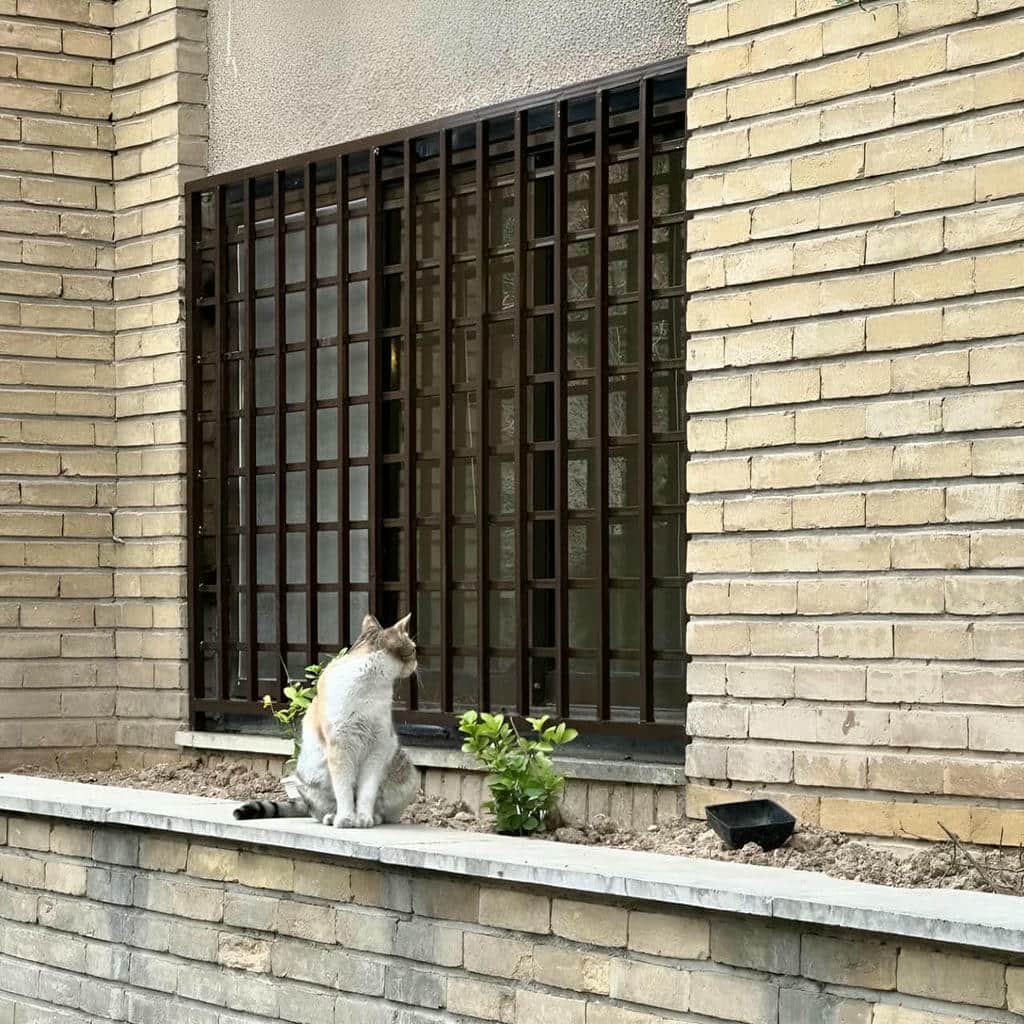 حفاظ پنجره نرده ای در قائمشهر