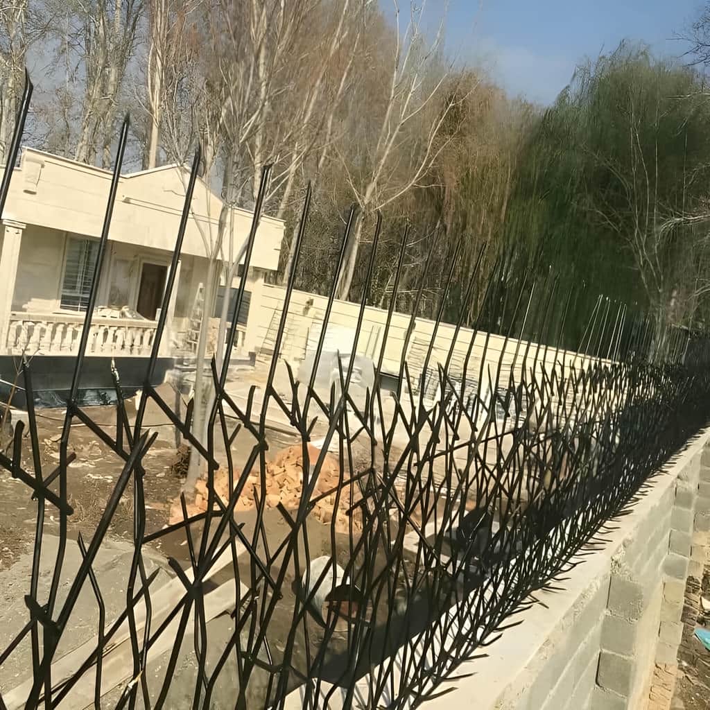حفاظ شاخ گوزنی خار دار با رنگ مقاوم و یکنواخت