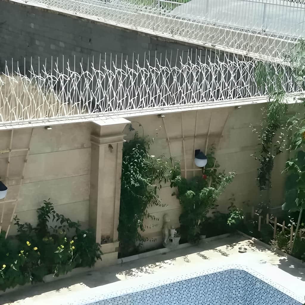 حفاظ شاخ گوزنی با ارتفاع متناسب دیوار