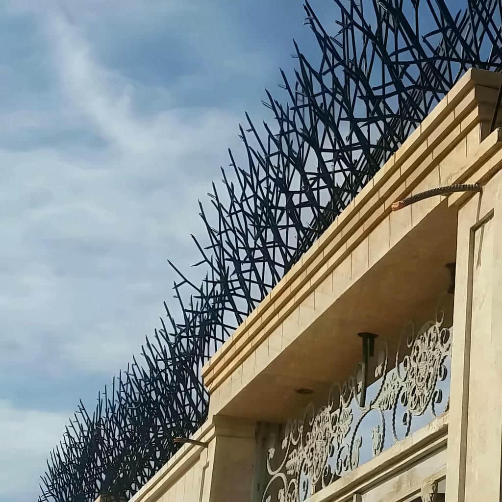 حفاظ شاخ گوزنی بلند برای افزایش ایمنی دیوار باغ