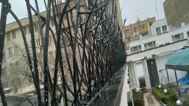 13 مدل حفاظ شاخ گوزنی پرتراکم امنیتی