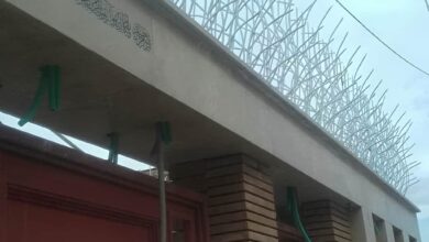 13 نمونه حفاظ بوته ای دیوار پرتراکم