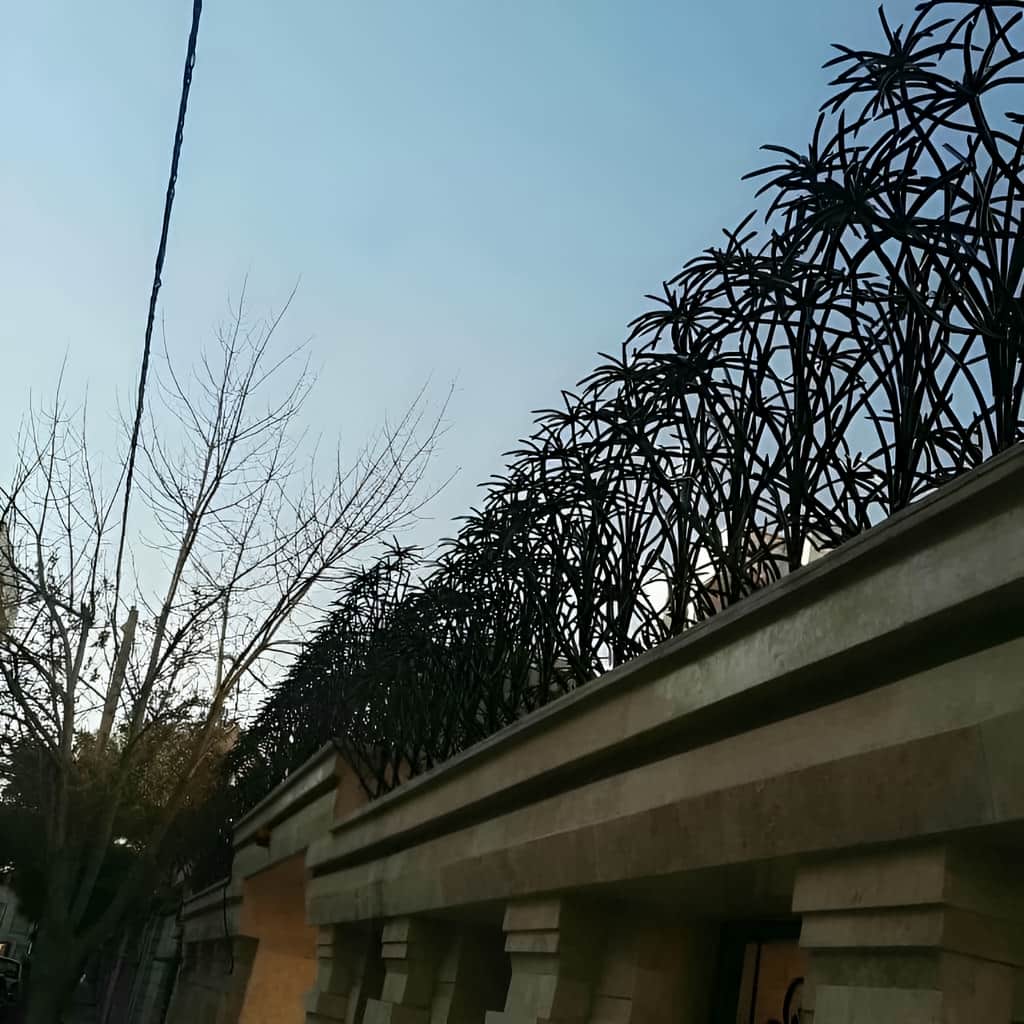 حفاظ نخل مرداب فلزی