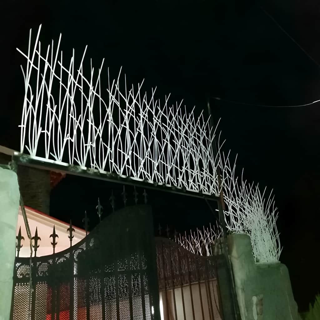 حفاظ نیزار با پوشش رنگ