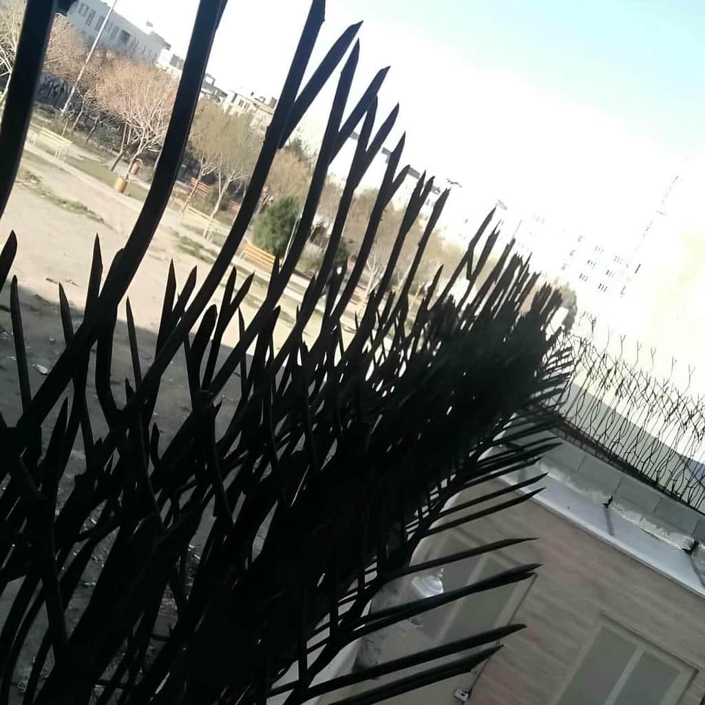 نرده حفاظ دیوار شاخ گوزنی