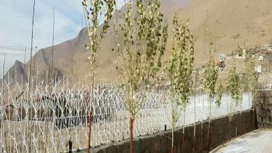 حفاظ دیوار فلزی با طرح شاخ گوزنی
