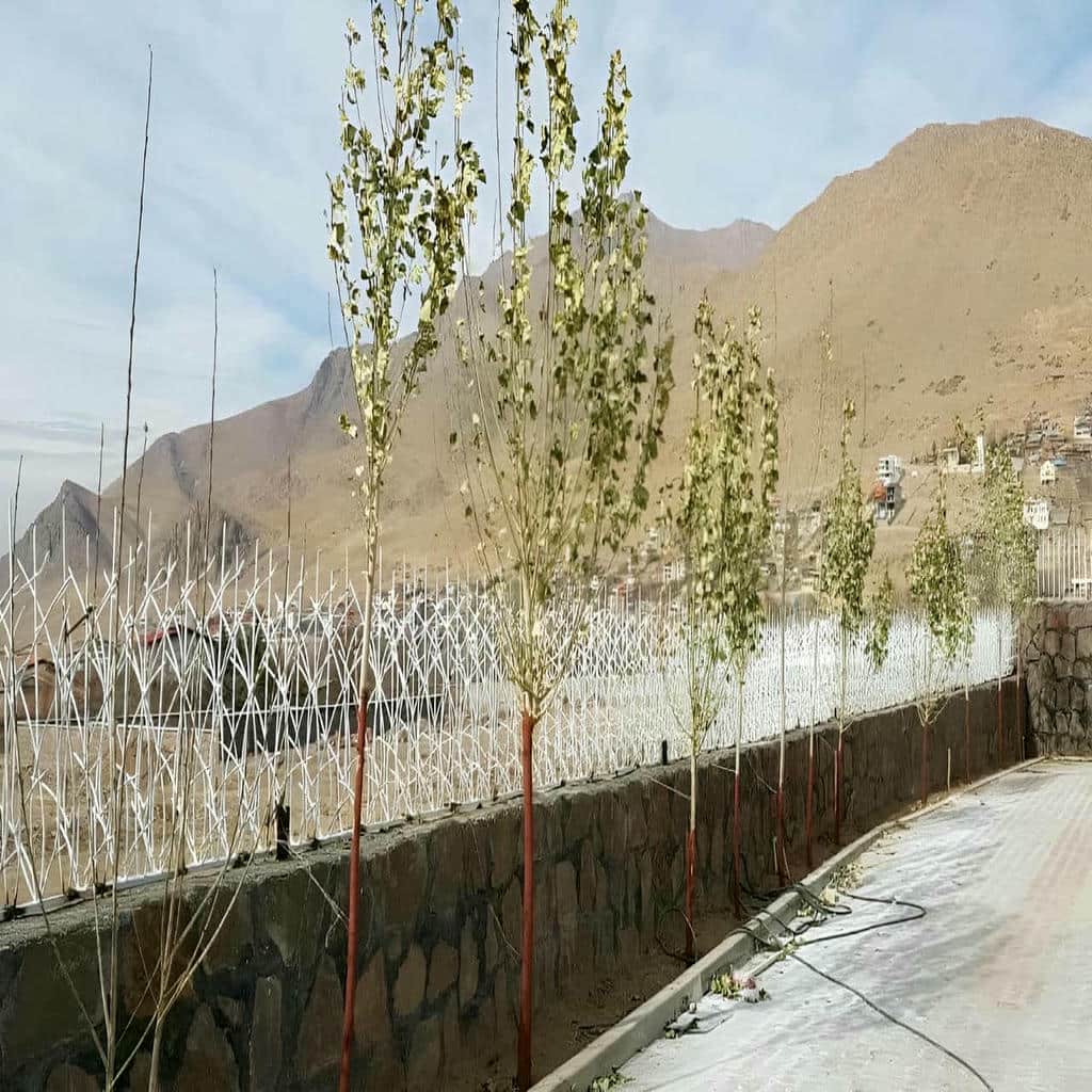 حفاظ دیوار فلزی با طرح شاخ گوزنی