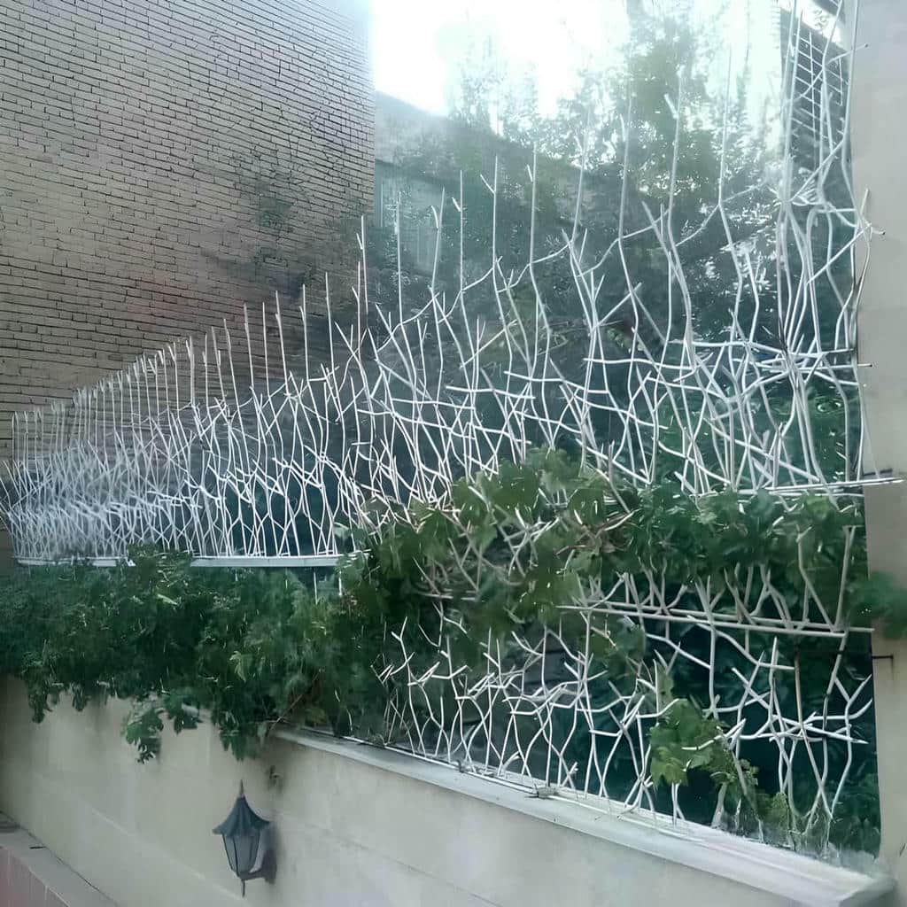 حفاظ نیزار با طراحی خاص حفاظ نیزار با طراحی خاص