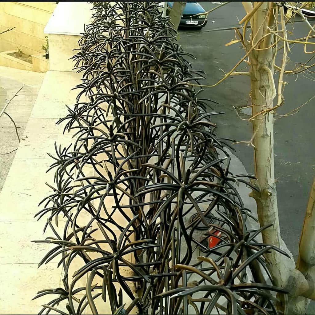 حفاظ مرداب با پوشش رنگ