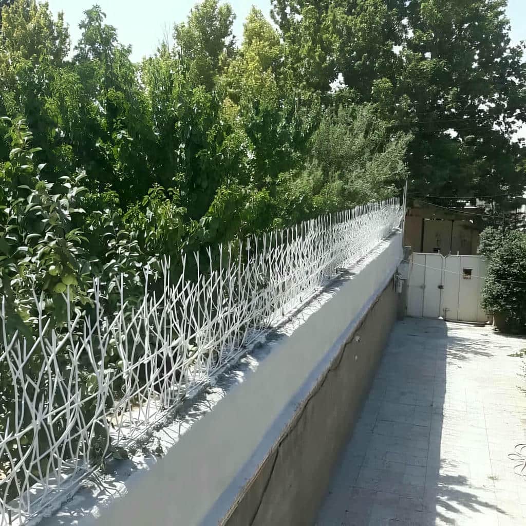حفاظ شاخ گوزنی اهواز با پوشش رنگ مقاوم