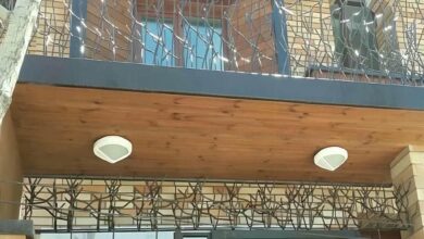 حفاظ دیوار استان مازندران شاخ گوزنی فلزی