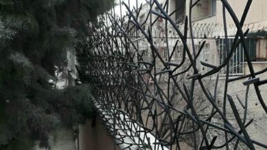 حفاظ دیوار شاخ گوزنی اراک