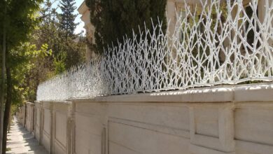 حفاظ دیوار شاخ گوزنی استان سیستان و بلوچستان