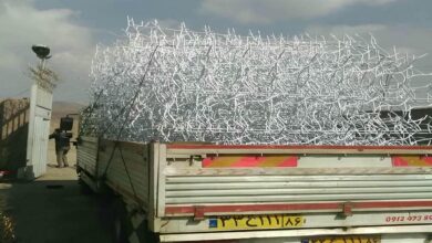 حفاظ دیوار شاخ گوزنی سمنان با پوشش رنگی