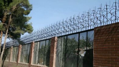 حفاظ دیوار شاخ گوزنی کرج